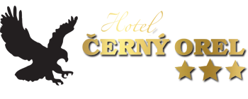 Hotel Cerny orel Zatec